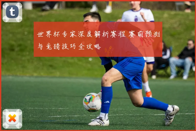 世界杯专家深度解析赛程 赛前预测与竞猜技巧全攻略