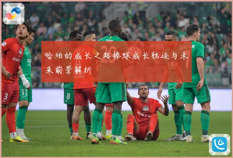 哈珀的成长之路棒球成长轨迹与未来前景解析