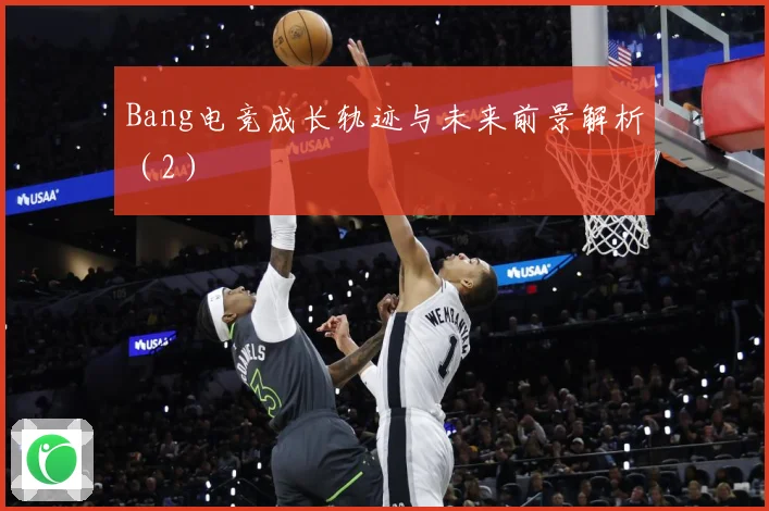 Bang电竞成长轨迹与未来前景解析（2）