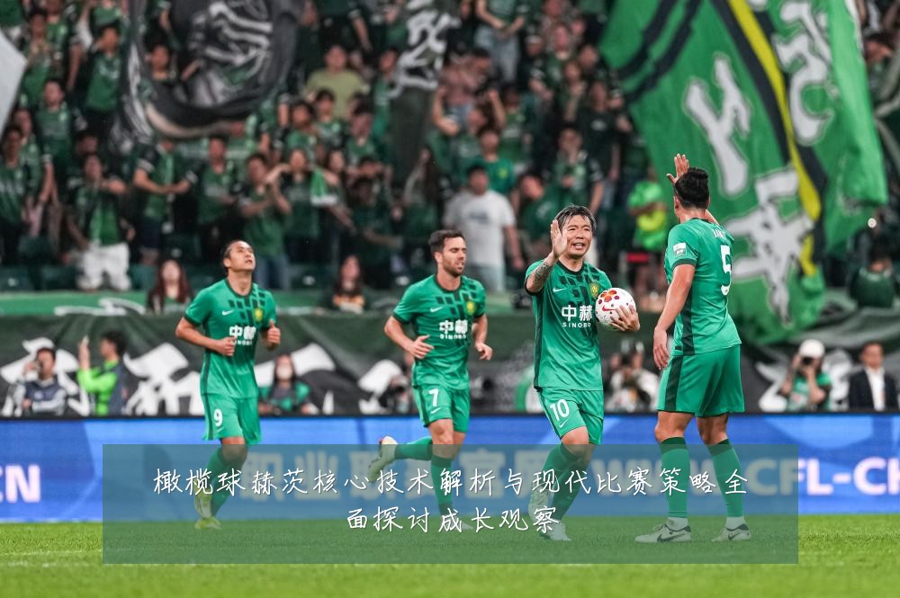 橄榄球赫茨核心技术解析与现代比赛策略全面探讨成长观察
